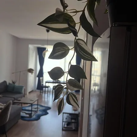 Onix Blue Mamaia Nord Lägenhet *